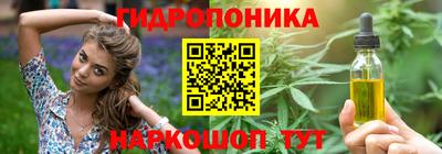 apvp Вышний Волочёк