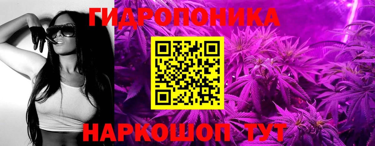 Марихуана Bruce Banner  Конопля OG Kush  Вход с VPN  МАРИХУАНА VHQ  Ачинск 